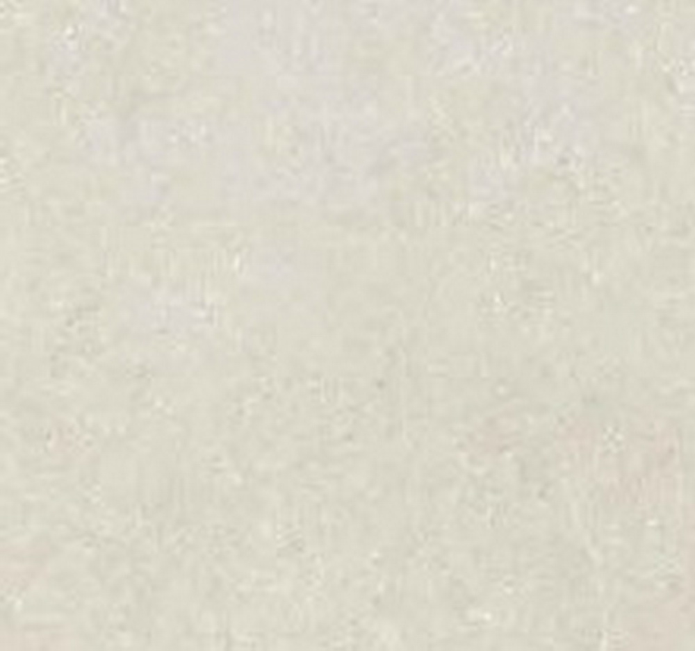 colour|Ivory