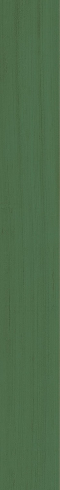 colour|Bottiglia Verde