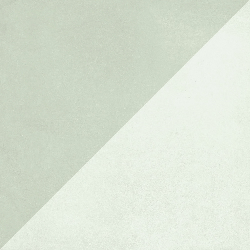 colour|Grey & White