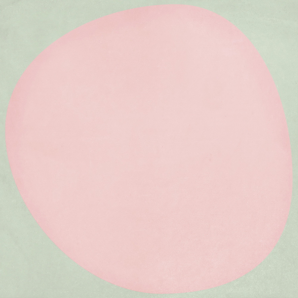 colour|Pink Circle